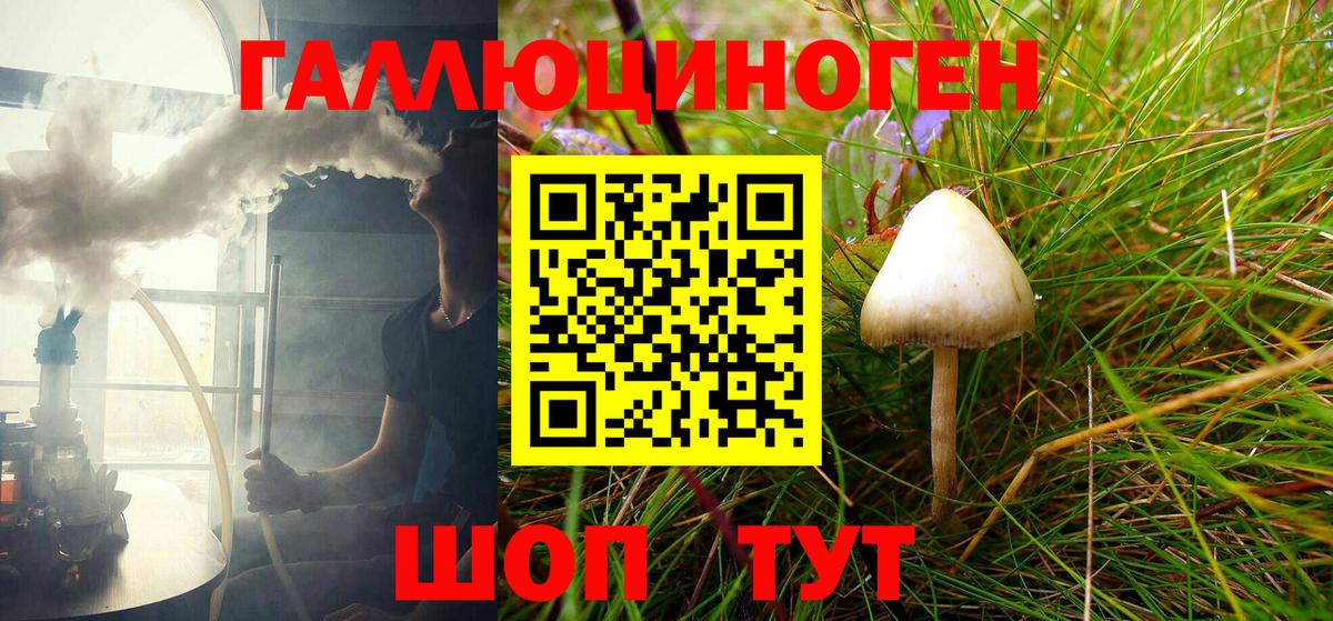 Галлюциногенные грибы Psilocybine cubensis  Вход с VPN  Лобня 